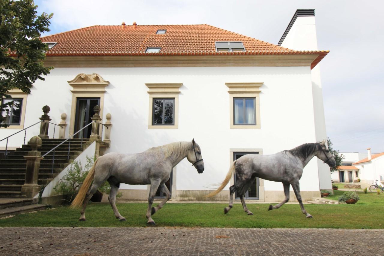 Quinta Da Aldeia De Avanca Exteriör bild